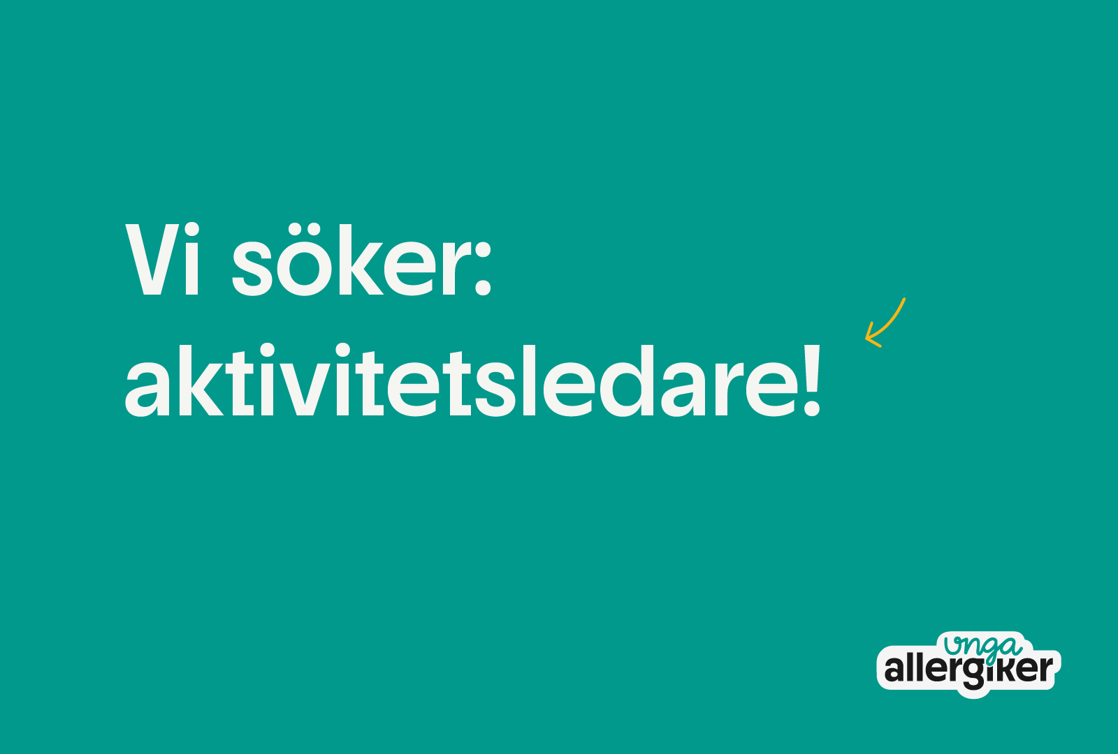 aktivitetsledare